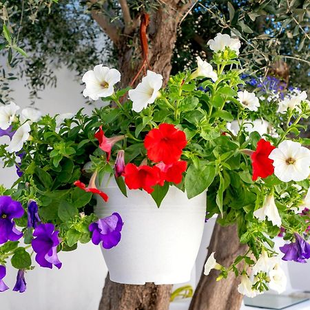 Villa Del Capo Suites Rhodes City Luaran gambar