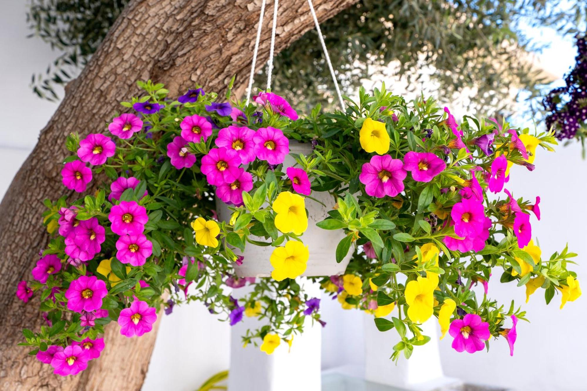 Villa Del Capo Suites Rhodes City Luaran gambar